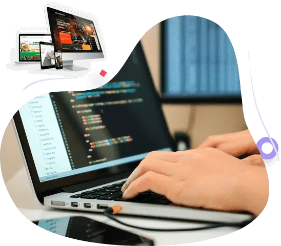 Responsive Web Design